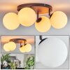 Gastor ceiling light, globe light white, 4-light sources