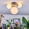 Chehalis ceiling light, globe light gold, black, 3-light sources
