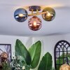 Chehalis ceiling light, globe light gold, black, 3-light sources