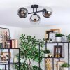 Koyoto ceiling light, globe light chrome, clear, Smoke-coloured, 3-light sources