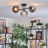 Koyoto ceiling light, globe light chrome, clear, Smoke-coloured, 3-light sources
