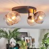 Koyoto ceiling light, globe light Amber, clear, Smoke-coloured, 4-light sources