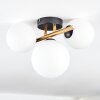 Chehalis ceiling light, globe light gold, black, 3-light sources