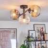 Ripoll ceiling light, globe light Amber, clear, Smoke-coloured, 3-light sources