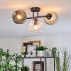 Ripoll ceiling light, globe light Amber, clear, Smoke-coloured, 3-light sources