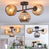 Ripoll ceiling light, globe light Amber, Smoke-coloured, 3-light sources
