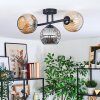 Ripoll ceiling light, globe light Amber, Smoke-coloured, 3-light sources