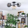 Ripoll ceiling light, globe light Amber, clear, Smoke-coloured, 3-light sources