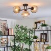 Ripoll ceiling light, globe light Amber, clear, Smoke-coloured, 3-light sources