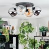 Koyoto ceiling light, globe light Amber, chrome, clear, Smoke-coloured, 4-light sources