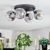 Ripoll ceiling light, globe light clear, Smoke-coloured, 4-light sources