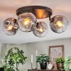 Ripoll ceiling light, globe light clear, Smoke-coloured, 4-light sources