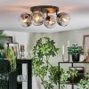 Ripoll ceiling light, globe light clear, Smoke-coloured, 4-light sources