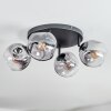 Ripoll ceiling light, globe light clear, Smoke-coloured, 4-light sources