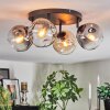 Ripoll ceiling light, globe light Amber, clear, Smoke-coloured, 4-light sources
