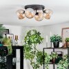 Koyoto ceiling light, globe light Amber, 4-light sources