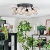 Koyoto ceiling light, globe light Amber, clear, 4-light sources