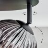 Ripoll ceiling light, globe light Smoke-coloured, 4-light sources