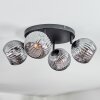 Ripoll ceiling light, globe light Smoke-coloured, 4-light sources