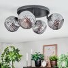 Ripoll ceiling light, globe light Smoke-coloured, 4-light sources