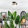 Chehalis ceiling light, globe light gold, black, 3-light sources