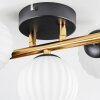 Chehalis ceiling light, globe light gold, black, 3-light sources