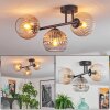 Koyoto ceiling light, globe light Amber, clear, Smoke-coloured, 3-light sources
