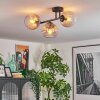 Koyoto ceiling light, globe light Amber, clear, Smoke-coloured, 3-light sources