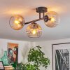 Koyoto ceiling light, globe light Amber, clear, Smoke-coloured, 3-light sources