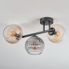 Koyoto ceiling light, globe light Amber, clear, Smoke-coloured, 3-light sources