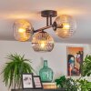 Koyoto ceiling light, globe light Amber, clear, Smoke-coloured, 3-light sources