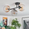 Koyoto ceiling light, globe light Amber, clear, Smoke-coloured, 3-light sources