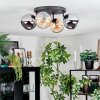 Koyoto ceiling light, globe light Amber, chrome, Smoke-coloured, 4-light sources