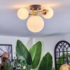 Chehalis ceiling light, globe light gold, black, 3-light sources