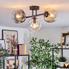 Ripoll ceiling light, globe light Amber, clear, Smoke-coloured, 3-light sources