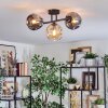 Ripoll ceiling light, globe light Amber, Smoke-coloured, 3-light sources