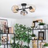 Ripoll ceiling light, globe light Amber, clear, Smoke-coloured, 3-light sources