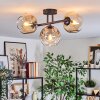 Ripoll ceiling light, globe light Amber, clear, Smoke-coloured, 3-light sources