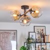 Ripoll ceiling light, globe light Amber, clear, Smoke-coloured, 3-light sources