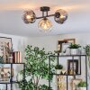 Ripoll ceiling light, globe light Amber, clear, Smoke-coloured, 3-light sources
