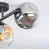 Ripoll ceiling light, globe light Amber, clear, Smoke-coloured, 3-light sources
