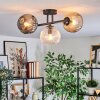 Ripoll ceiling light, globe light Amber, clear, Smoke-coloured, 3-light sources