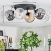 Ripoll ceiling light, globe light Amber, clear, Smoke-coloured, 4-light sources
