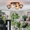 Ripoll ceiling light, globe light Amber, clear, Smoke-coloured, 4-light sources