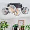 Ripoll ceiling light, globe light Amber, clear, Smoke-coloured, 4-light sources