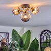 Chehalis ceiling light, globe light gold, black, 3-light sources