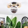 Chehalis ceiling light, globe light gold, black, 3-light sources