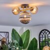 Chehalis ceiling light, globe light gold, black, 3-light sources