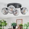 Ripoll ceiling light, globe light clear, Smoke-coloured, 4-light sources