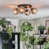 Ripoll ceiling light, globe light clear, Smoke-coloured, 4-light sources